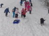 IMG_20210115_085011_1