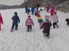 IMG_20210115_085134_1