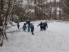 IMG_20210115_091826_1