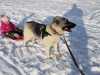 IMG-20221219-WA0000
