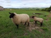 IMG_20210527_093544