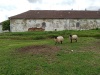 IMG_20210527_093650