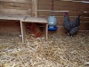 IMG_20210527_094054
