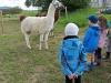 IMG_20210527_094547