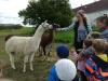 IMG_20210527_094607