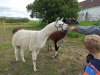 IMG_20210527_094626