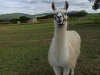 IMG_20210527_094804