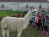 IMG_20210527_094824