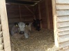 IMG_20210527_095220