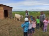 IMG_20210527_095421