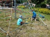 IMG-20210618-WA0062