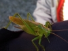 20191001_102715