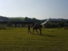 20190614_175138