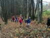 IMG_20221109_104753