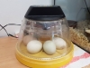 20190516_093413