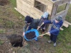 IMG-20211111-WA0015