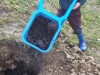 IMG-20211111-WA0017