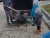 IMG-20211111-WA0025