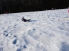 20190219_104559