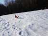 20190219_104805_001
