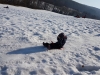20190219_105516