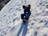 20190219_105708